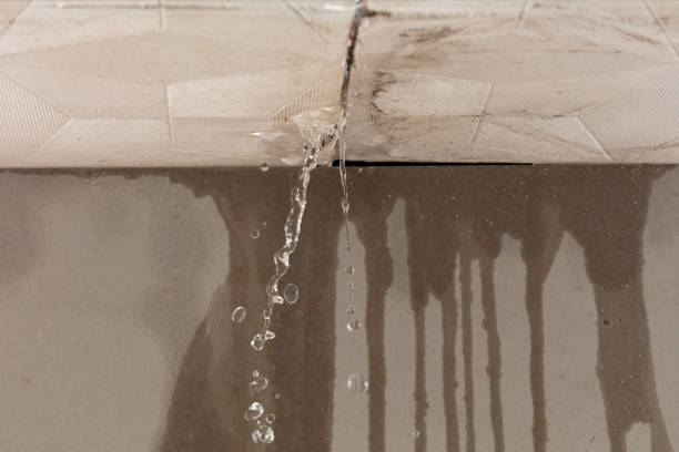 Professional Structural Drying technician working in Katonah, NY